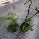 동홍동-16 이미지