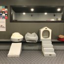 킹스유치원 이미지