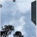 서울독립문초등학교 이미지