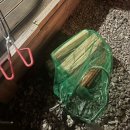 P-7738 | [강원도 홍천 애견 동반 글램핑]홍천 불멍멍글램핑캠핑장 후기