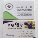 영팜 이미지