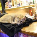 해븐(HEAVEN) 이미지