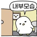 광주축산물도매센타