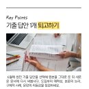 연출기획
