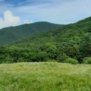 사북1교 이미지