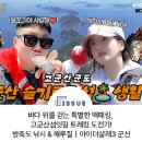 바다 위를 걷는 특별한 백패킹, 고군산섬잇길 트레킹 도전기! 방축도 낚시 &amp; 해루질｜아이더샬레3 군산편