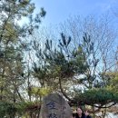 피트밀리짐 이미지