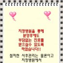 참조은 동물병원 이미지