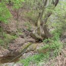 마지농원 이미지