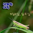 ♧9월의 기도 이미지