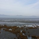 고창심원풍천장어 - 전주시 완산구 신촌2길 26 | 고창심원풍천장어