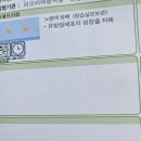 라의원 | 리오라의원 난임 진료 후기 / 다낭성 난소 배란유도 과정 (브레트라 반응 + 난포 확인)