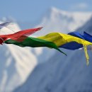 행정사사무소 지상 이미지