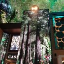 센스당구장 이미지