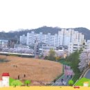무심천 마트 이미지
