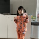 베베드봄