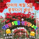 실록의 계절5월 입니다 이미지