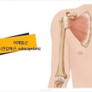 하근 Daum카페