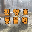 진양호동물원매점