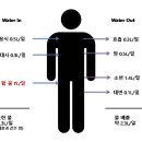 짐 코사트 이미지