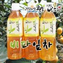 위병열농장 | [완도비파] 우리몸에 좋은 비파열매 및 비파잎차,비파 성분,비파의효능 알아보자