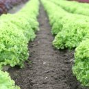 사상침한의원 이미지