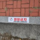 163 | 서산 삼길포항 오션뷰와 석양을 볼 수 있는 카페 :: 라메르