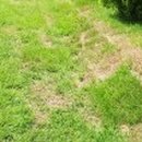 시왕목장 이미지