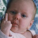 라이징 썬 이미지