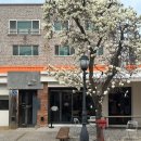 목련식당 | 대구 그저모이기 목련 명소 26.03.22. 오픈런 후기