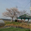 마을회관 정자옆 이미지