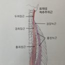 춘양삼성의원