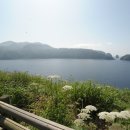 울릉도회센타
