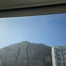 월드크리닝진해남문시티프라디움점 | 진해 아파트 유리창청소 이렇게 변해요