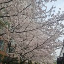 조암로 | 대구 월성동 갈비만 런치 후기｜놀이방 식당 + 베니베이크샵 디저트까지 코스 추천