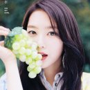 지호네 이미지