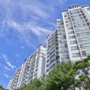 솔마루공인중개사사무소 이미지