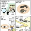 얼굴에 미래가 있다! 재미로 하는 관상 보는 법! 이미지