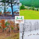 쌍용자동차태백서비스프라자 | 강원 태백 꽃사슴 카페 "초록뿔언덕카페" (MBN 매일아침)