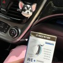 녹번동물병원 이미지