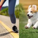 주식회사 러너소프트 이미지