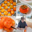 반시홍시 | 어르신간식 청도반시 대봉감홍시 온 가족이 좋아해요!