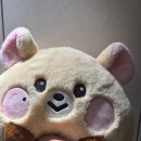 개'S 라인 이미지