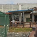 캠프도고 이미지