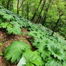 삼종농장 이미지