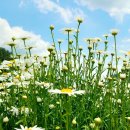 위봉사&amp;위봉폭포&amp;위봉산성 | 🌿완주 힐링 여행기 송광사부터 오성제, 위봉산성과 위봉사, 화심순두부까지