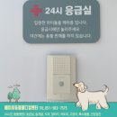 에이치동물메디컬센터 이미지