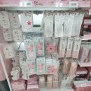 (주)아성다이소 부산해운대장산본점 | 부산 해운대 장산역 다이소 봄봄시리즈 구경하고 LED 벚꽃 텀블러 샀어요!