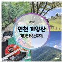 숲내음공원 | 인천 계양산 :: 숲 내음 가득 가을 산림욕 즐기며 계양산성에서 즐긴 소확행