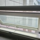 동양라디안루키 이미지